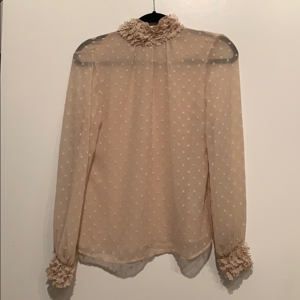 Pink Sheer Blouse